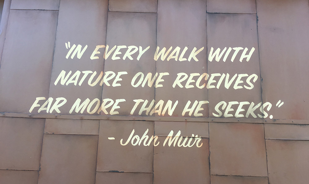 Facts About Soarin' Over the World - John Muir Quote