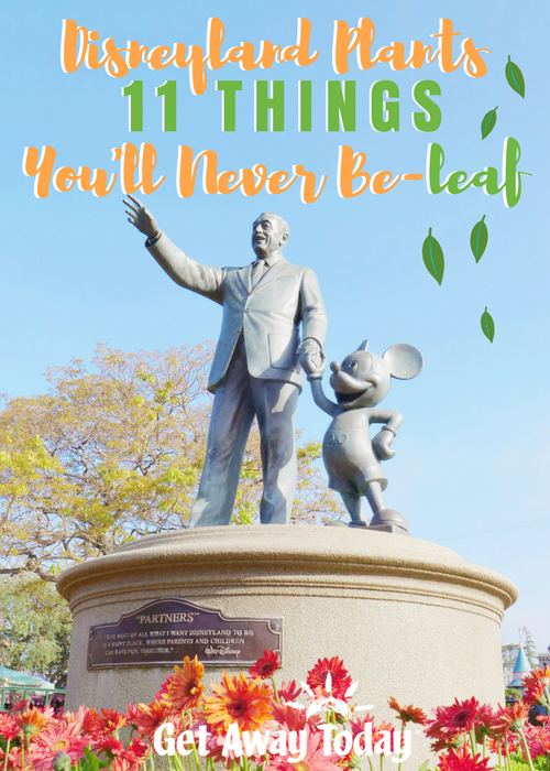 Disneyland Plants 11 Things You'll Never Be-leaf || Get Away Today