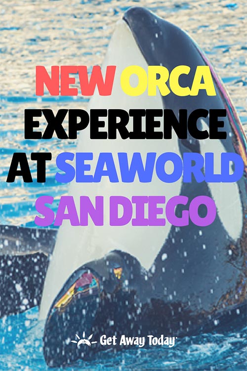 New Orca Experience at SeaWorld San Diego || Get Away Today