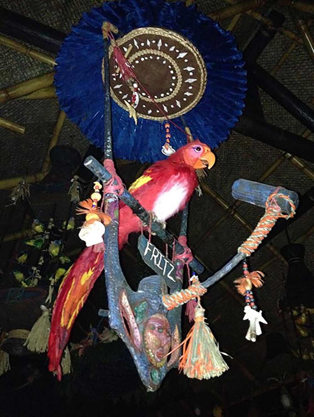 Tiki Room Disneyland red parrot in the show