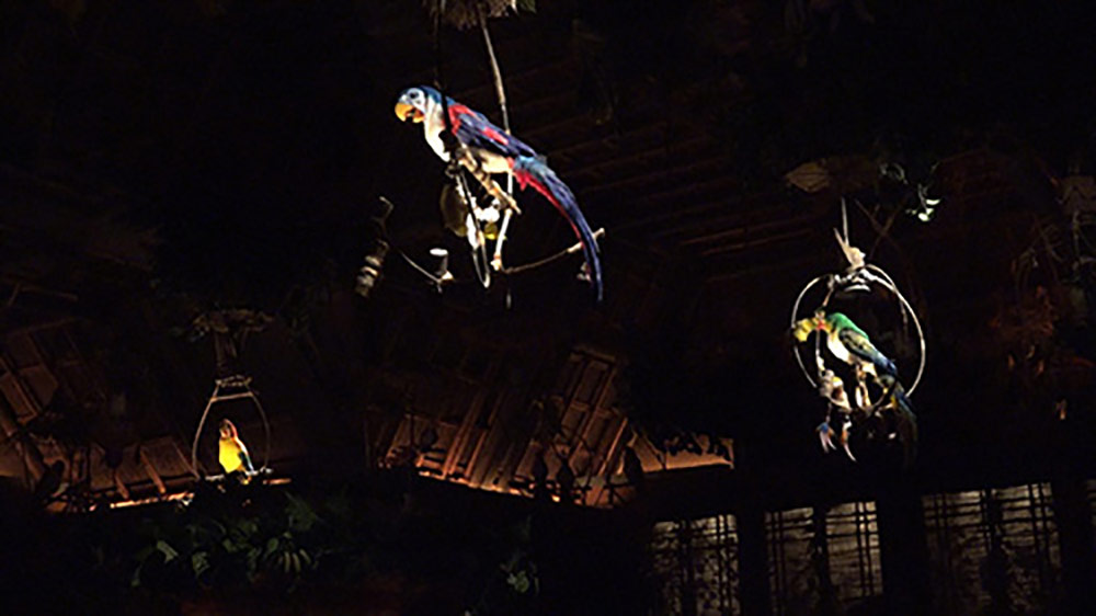 Tiki Room Disneyland parrot