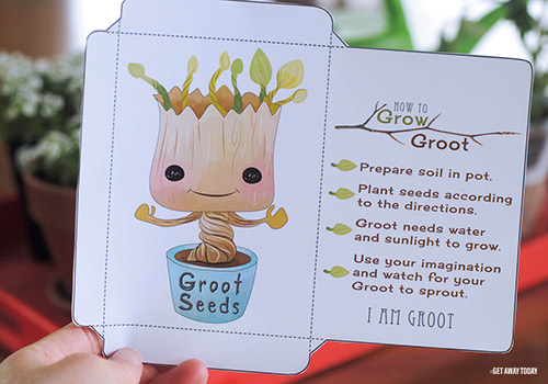 Grow Your Own Groot Cut