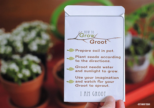 Grow Your Own Groot Directions