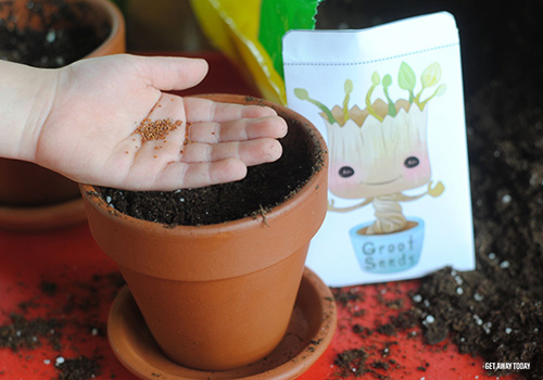 Grow Your Own Groot Seeds