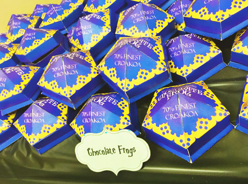 Display of Harry Potter Chocolate Frogs