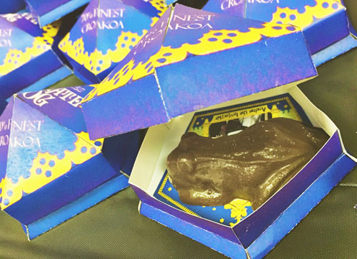 Harry Potter chocolate frogs in box