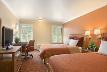 2 Queen Beds