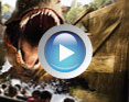 Watch a video for Universal Studios Hollywood
