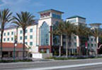 Ramada Plaza Hotel  - Standard Room