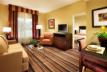 Living Room with Sofa Bed