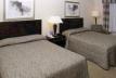 2 Queen Beds