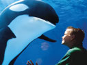 San Diego Discount Coupons