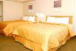 2 Queen Beds