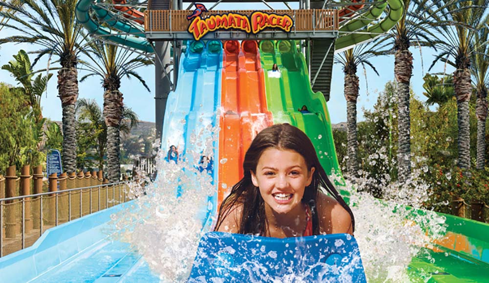 Aquatica San Diego Everything You Need To Know