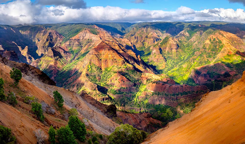 Kauai Hotels Canyon