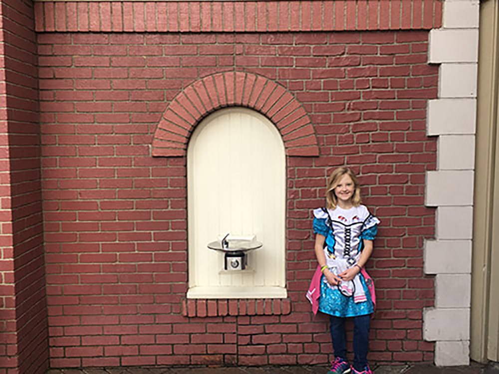 Secrets of Disneyland Brick Test Wall