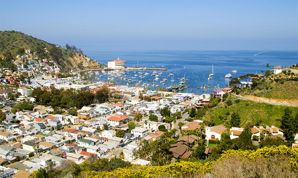 Things to do in Anaheim Catalina Island Express