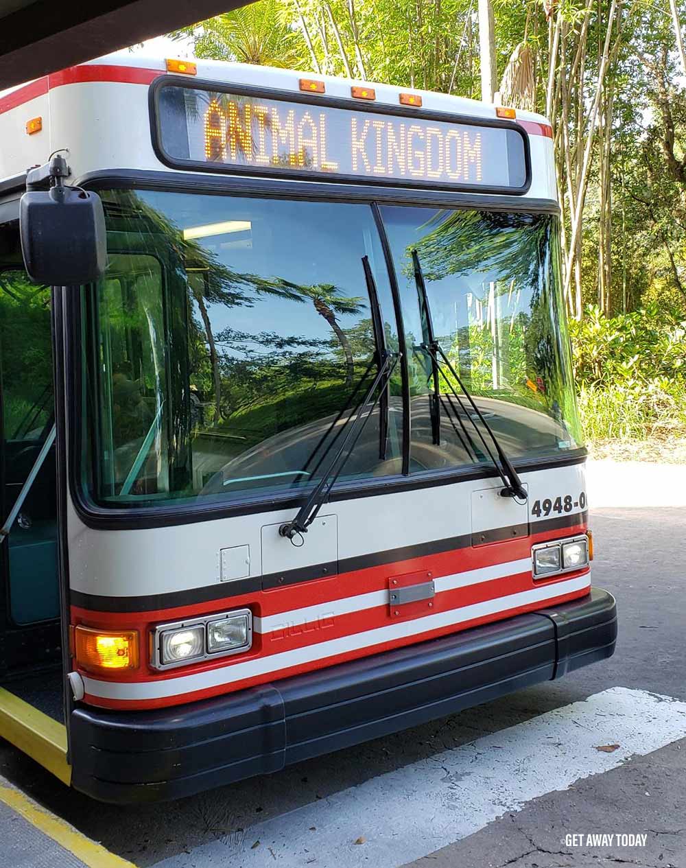 Walt Disney World Transportation Animal Kingdom Bus