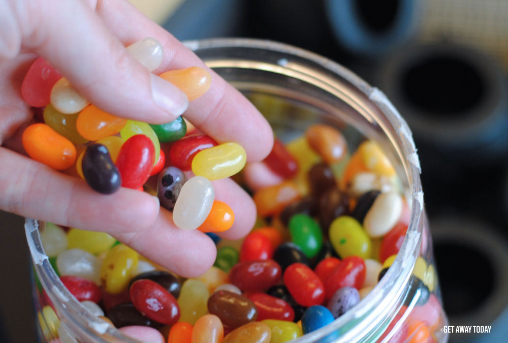 Every Flavor Beans Jelly Belly