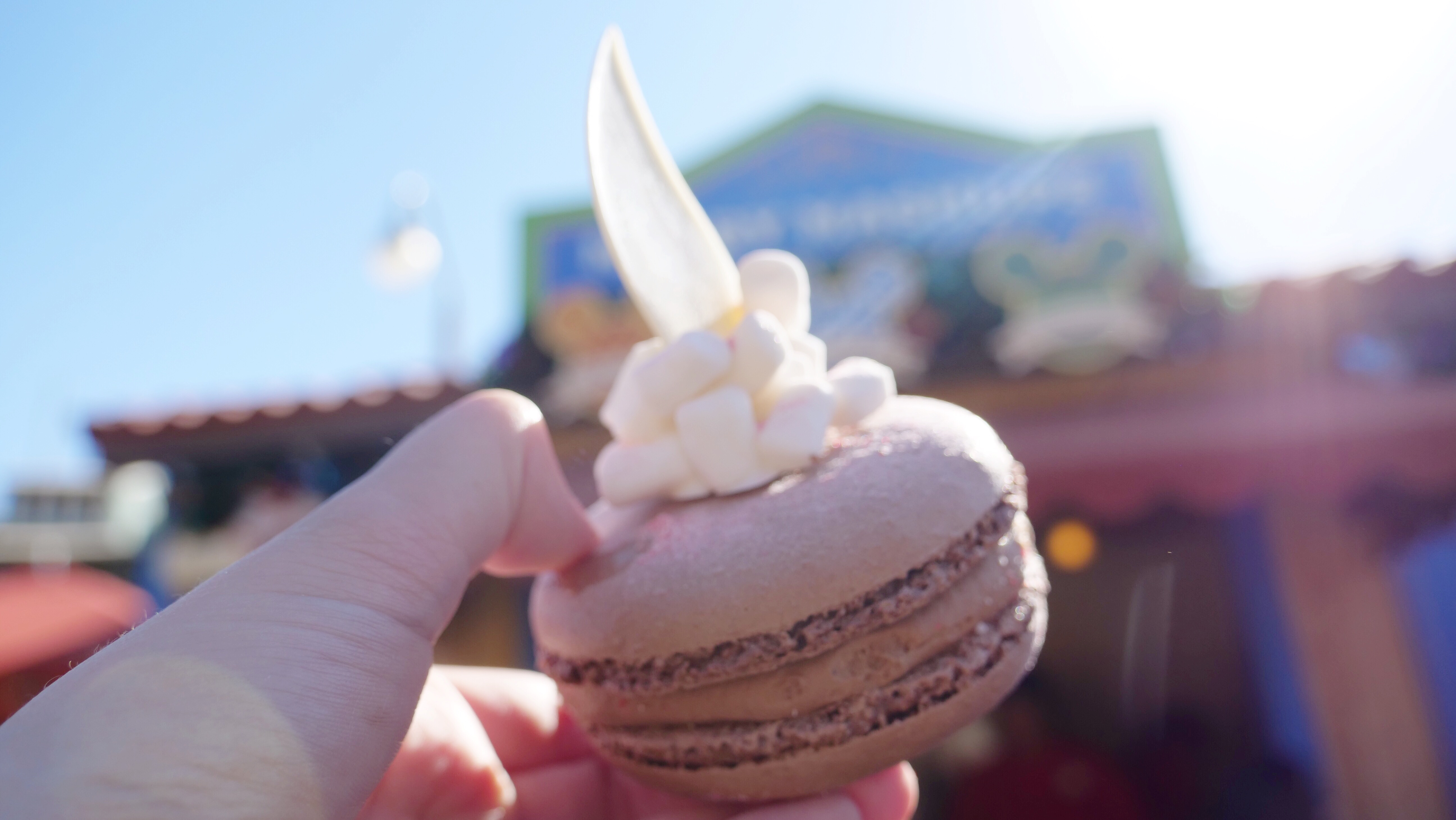 Disneyland Holiday Food and Merchandise Guide 2018