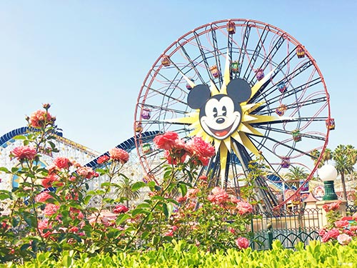 2018 Guide to Disneyland - Fun Wheel