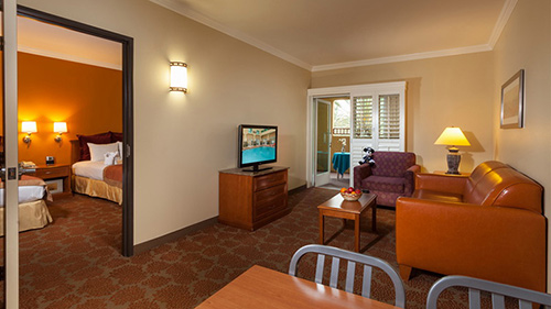 Best Disneyland Hotels For Large Families