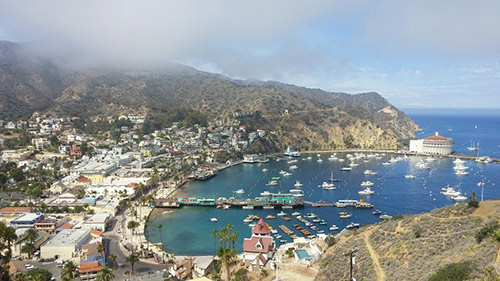 Day Trips from Disneyland Catalina Island