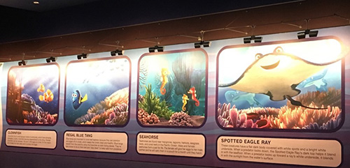 Disneyland Animation Building Turtle Talk with Crush