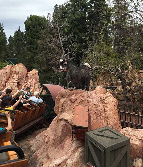 Big Thunder Mountain [Frontierland - 1992] Big-Thunder-Mountain-Railroad-Secrets-Disneyland-Goat