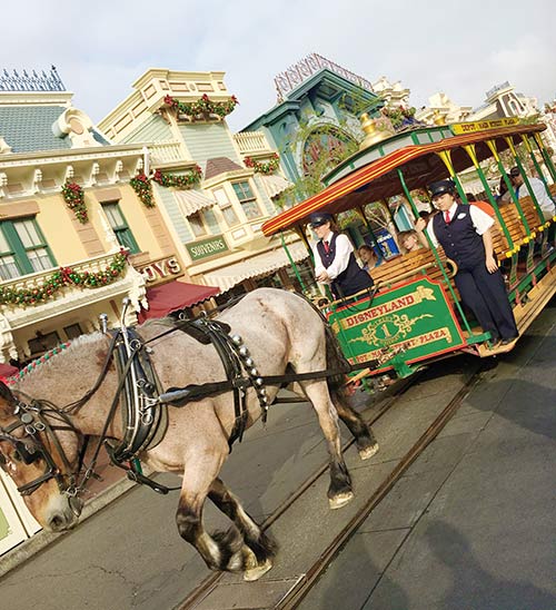 Disneyland Transportation Horse Drawn