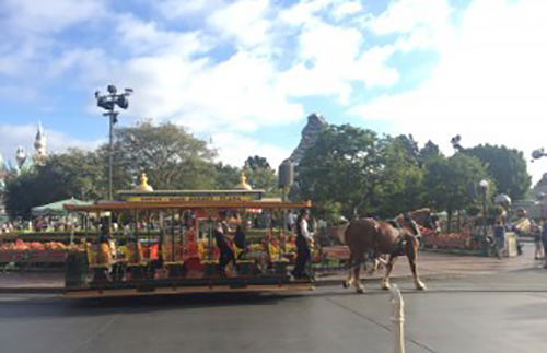 Disneyland Transportation Horse Drawn