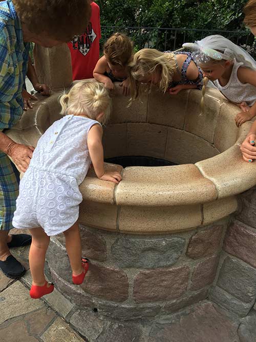 Fantasyland Secrets - Wishing Well