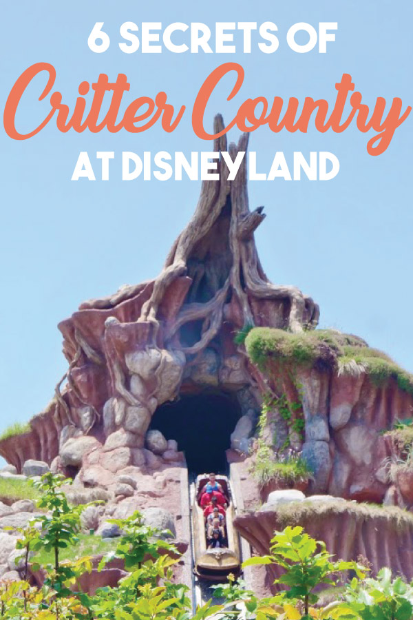 6 Secrets of Critter Country || Get Away Today