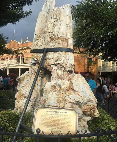 Disneyland Plants Tree