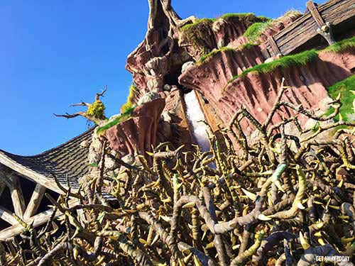 Disneyland This Summer Splash Mountain