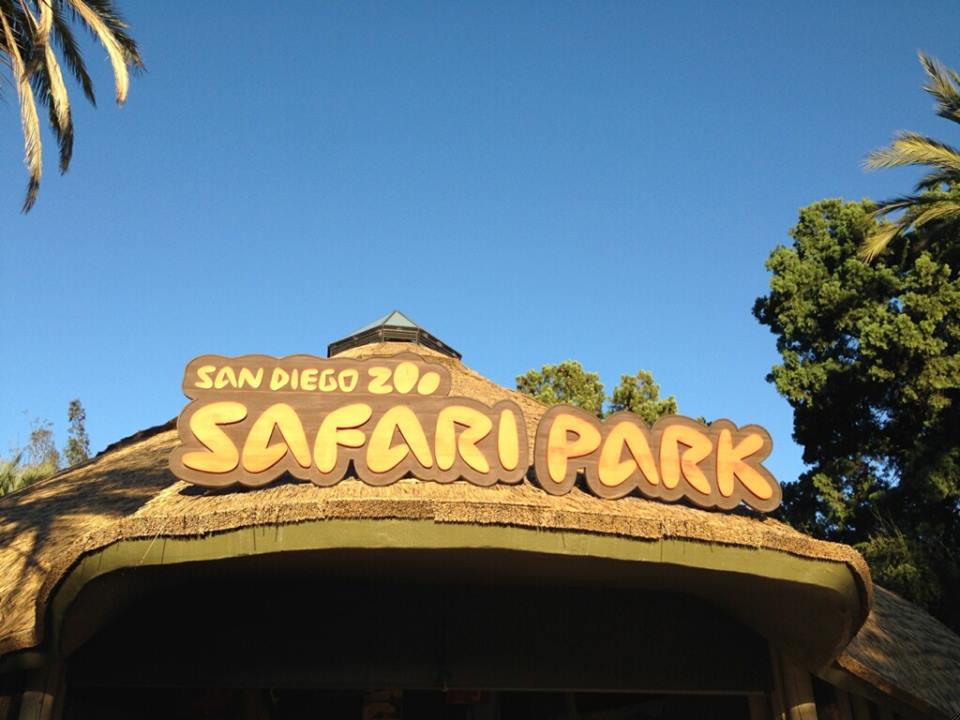 San Diego 2018 Safari Park