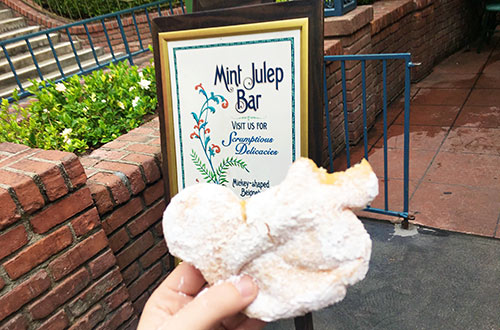 Food Allergies at Disney Mint Julep Bar