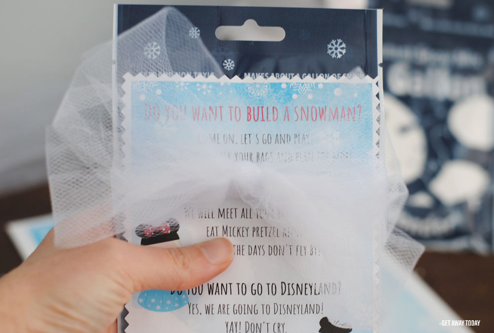 bow on frozen inspired vacation reveal note
