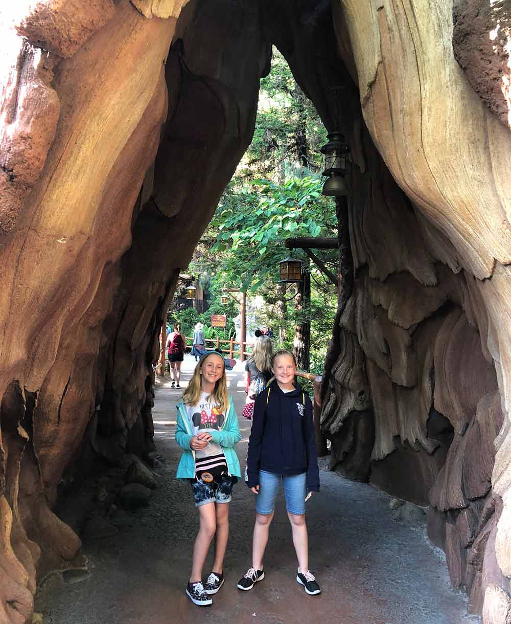 Redwood Creek Tree with two girls