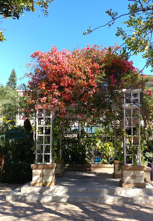 Holiday Inn Buena Park Gazebo