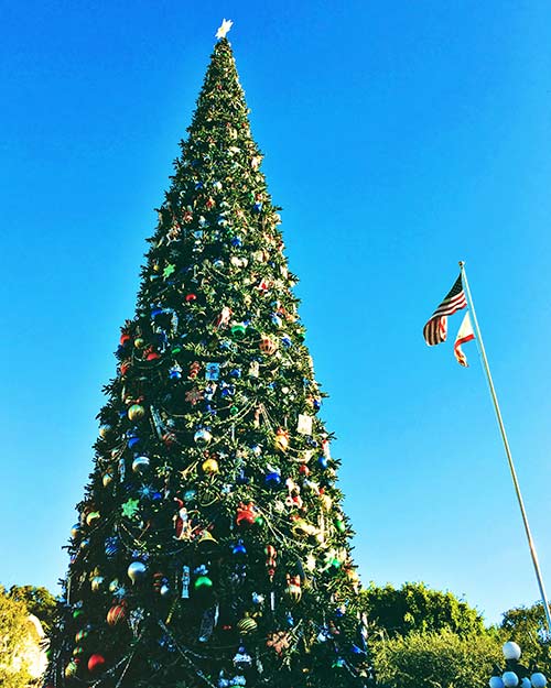 Christmas at Disneyland Main Street Christmas Tree