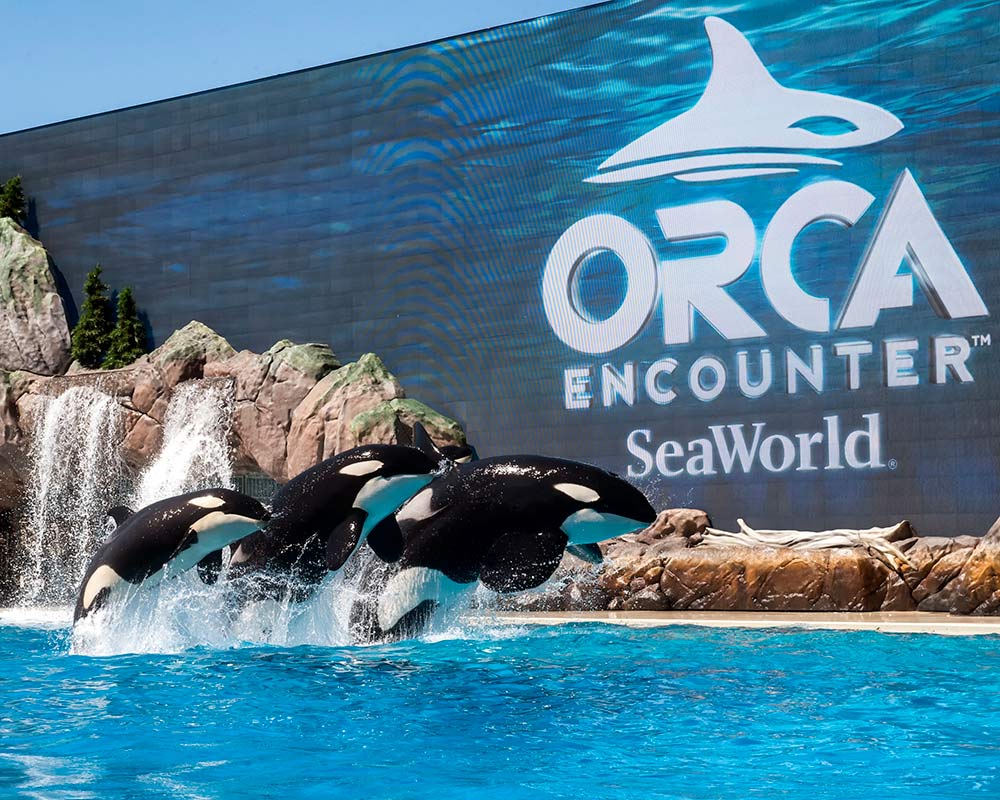 Holidays at SeaWorld San Diego Header