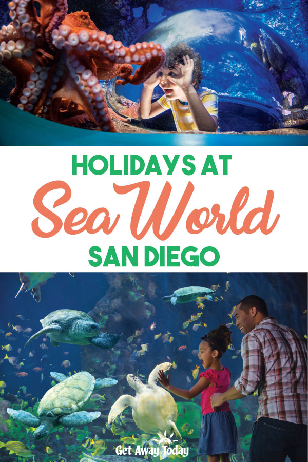Holidays at SeaWorld San Diego || Get Away Today