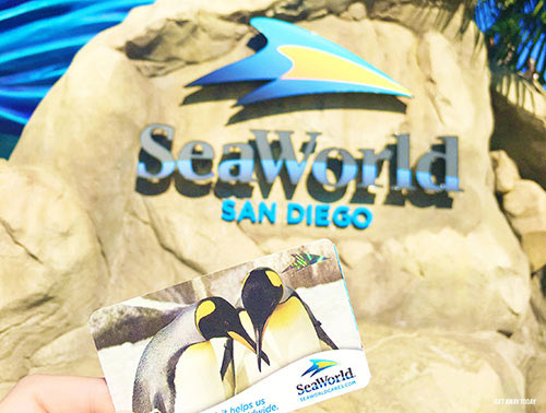 Kids Free San Diego SeaWorld