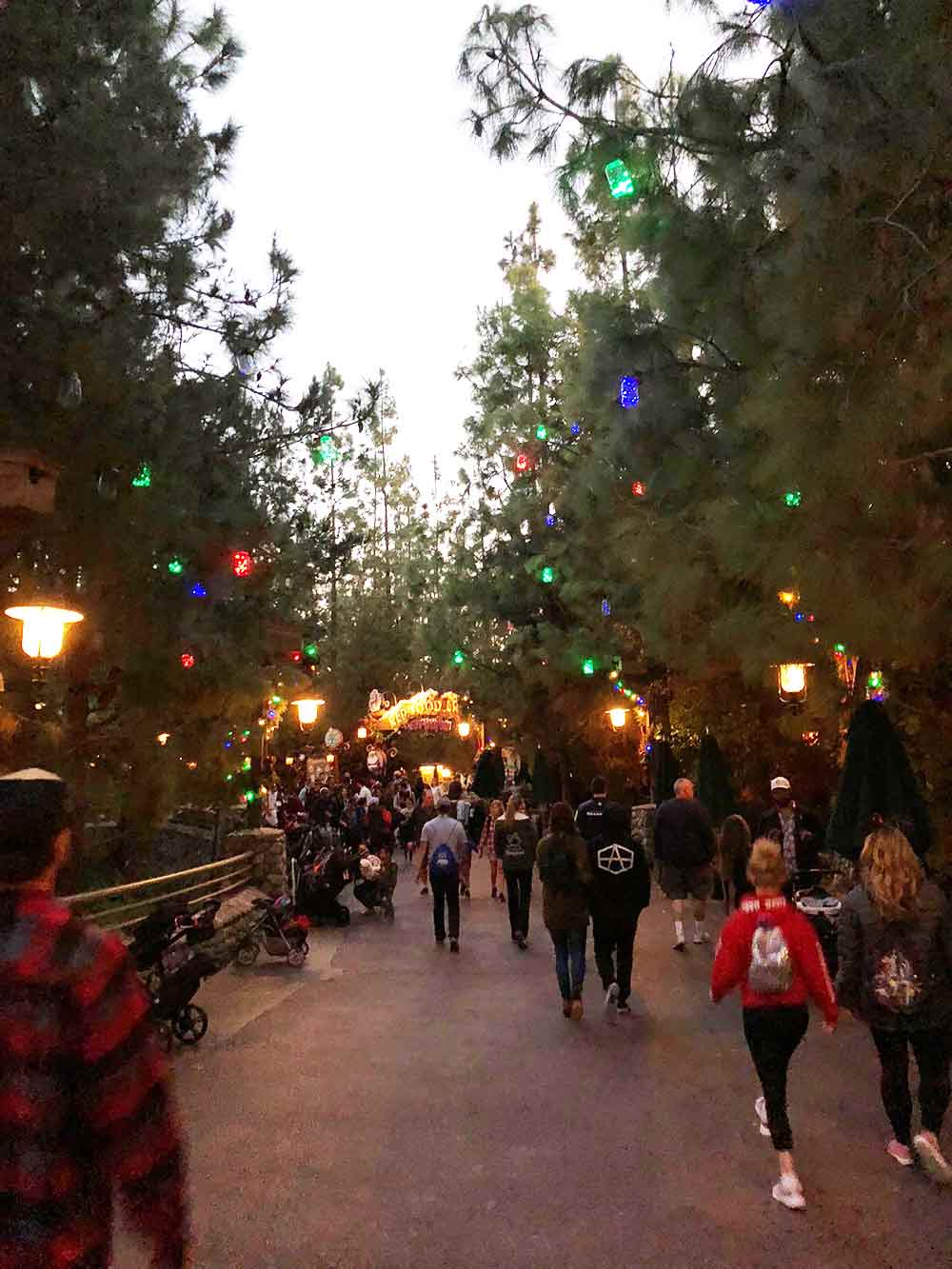 Redwood Creek Challenge Trail Tree Lights