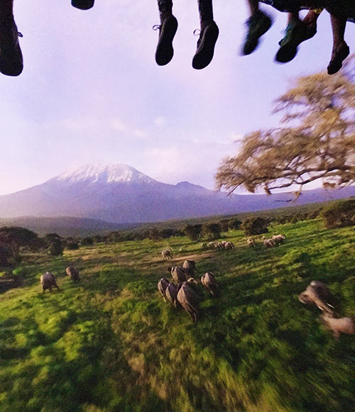 Soarin' Around the World Mt. Kilimajaro