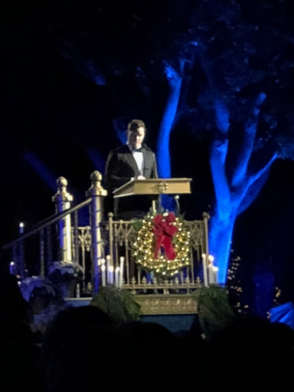 Special Events at Disneyland A Guide to Amazing Fun Chris Pratt