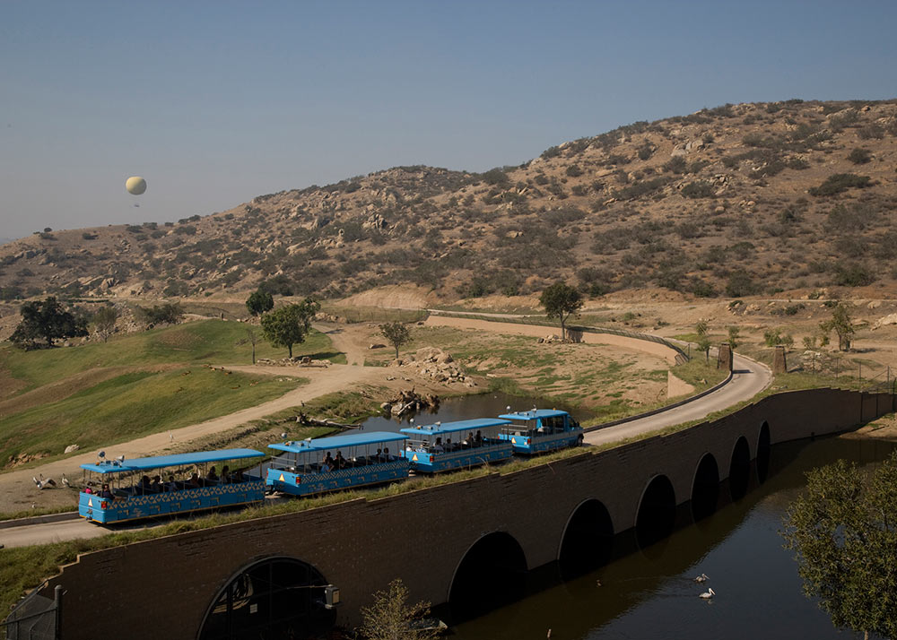 Things to do at San Diego Zoo and Safari Park African Tram