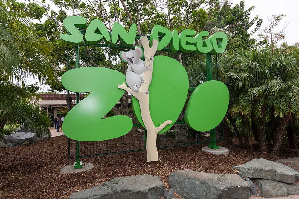 Things to do at San Diego Zoo and Safari Park Entrance