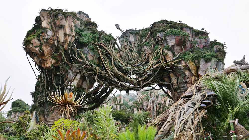 Walt Disney World Avatar Land Vines